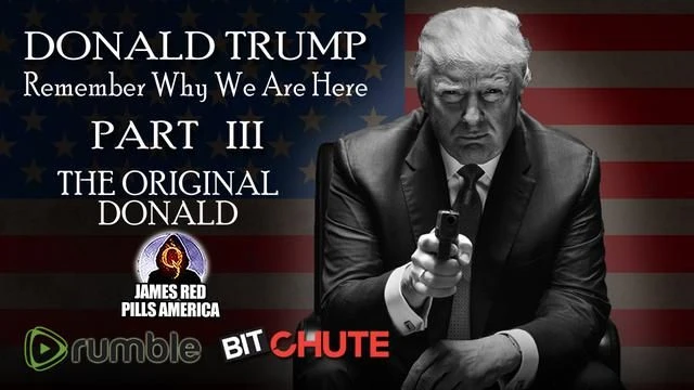 [Part 3] President Trump: THE ORIGINAL DONALD! Remember Why We Are Here Pro-Trump Video Series