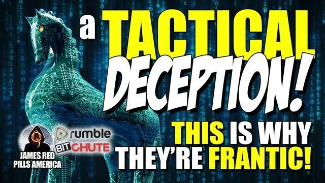TACTICAL DECEPTION! THIS Is Why They're FRANTIC! Mclnerney, Vandersteel & Smith's EPIC Revelations!